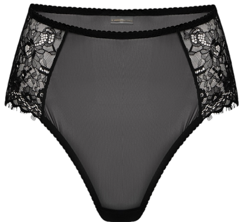 High-waisted panties Camellia black